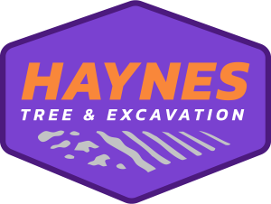 Logo for Haynes Tree Services Clyde, North Carolina